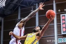 热刺中后卫引援