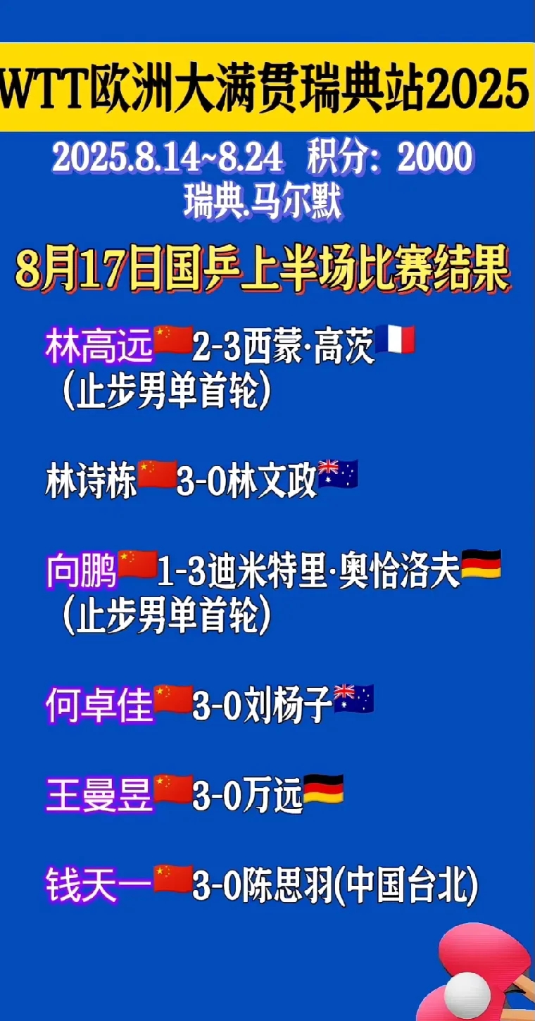 瑞典队分析